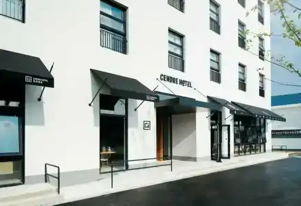 Cendre - 18