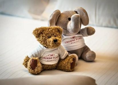 Crowne Plaza MILAN CITY by IHG - 15