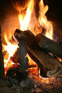 Festa Winter Palace - 32