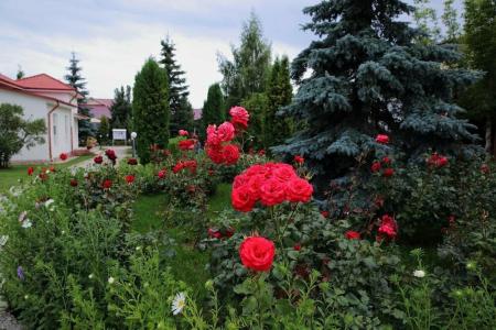 Talisman Village - 11