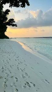 Royal Island Resort at Baa Atoll Biosphere Reserve - 69