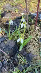 Okzhetpes Sanatorium - 75