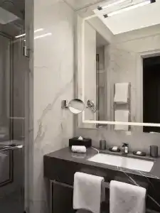 Cosmos Selection Saint-Petersburg Italyanskaya - 57