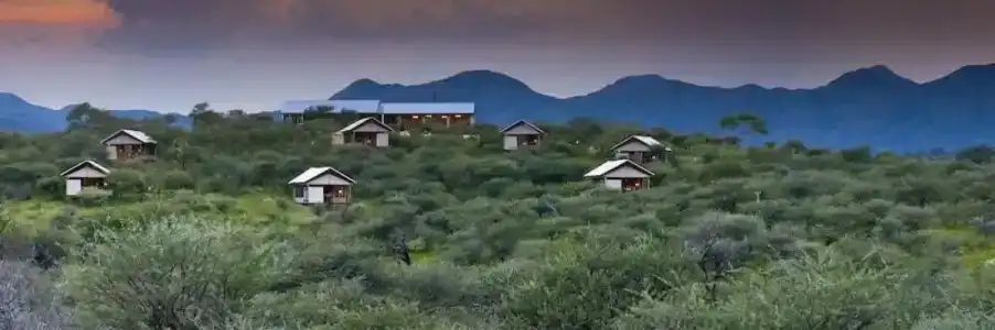 Windhoek Game Camp - 5