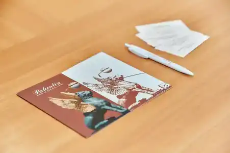 Палантин - 24