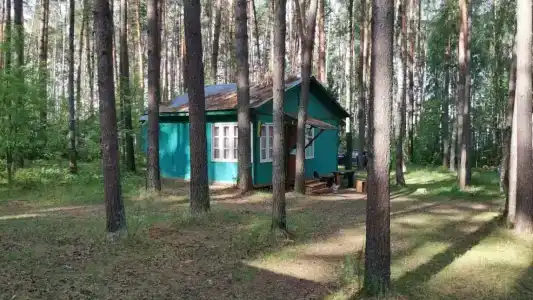 Sol Zhdanovets - 0