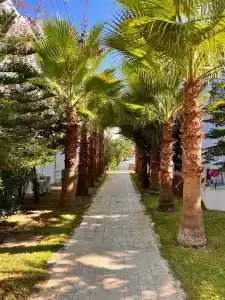 Selectum Family Comfort Side - 19