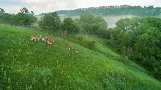 Prirodnyy park Oleniy - 21