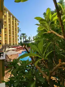 Kleopatra Dreams Beach - 35