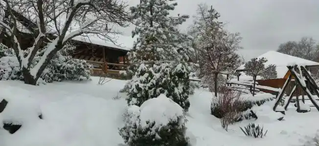 Zagorodny Klub Kura Tse Tse - 17