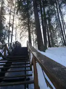 Sanatoriy Shchelykovo - 94