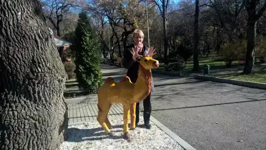 Sanatorii Lesnoi - 33