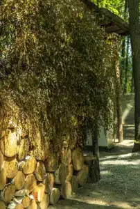 Baza Otdykha Monte-Karlo - 41