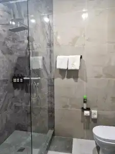 Apart-Otel Aleksandr Apart-hotel - 49