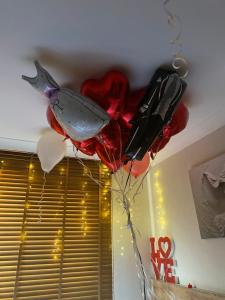 City Moonlight Apart - 22