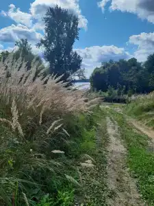 Panskiy dvor Tourist base - 15