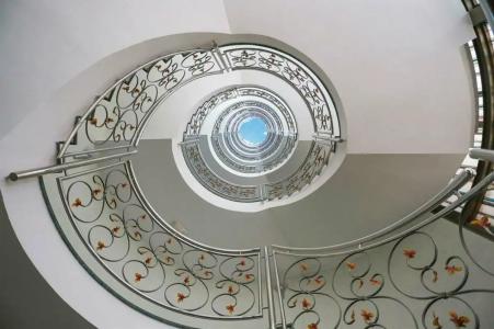 Kaktus Kaktus Albir - 51