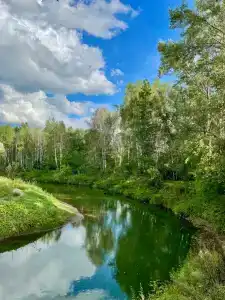 Berezovaya roshcha - 20