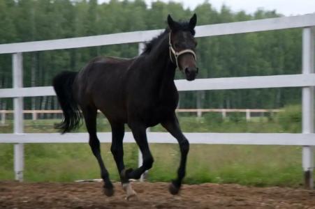 La Ferme de Reve - 73