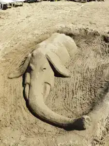 Horus Paradise Resort - Ultra All Inclusive - 68