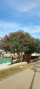 Sayanora & Park - 44