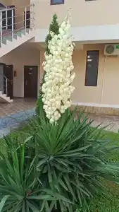 Гостиничный комплекс Джами - 63