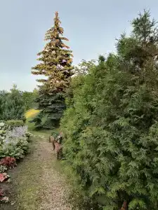 Novotel Moscow Sheremetyevo Airport - 46