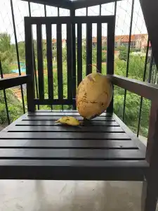 The Calm Resort & Spa - 24