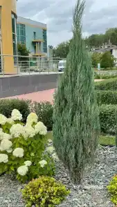 Ramada By Wyndham Yekaterinburg & Spa - 35