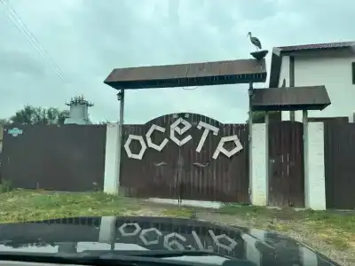 Osetr - 6