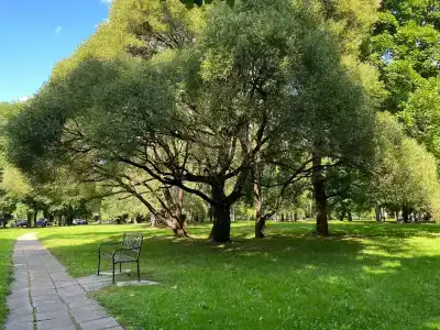 Nagornoe Holiday Home - 20