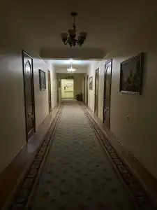 Петровск - 17