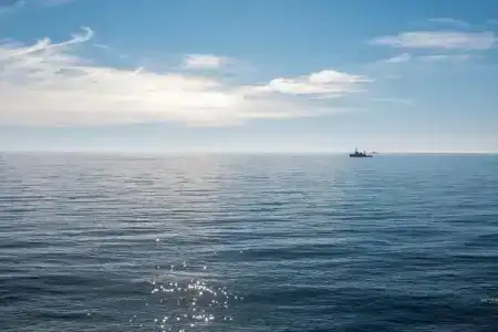 Dolphin Resort by Stellars, - 6