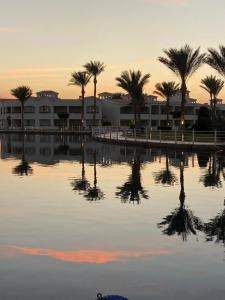 Pickalbatros Dana Beach Resort - Aqua Park - 58