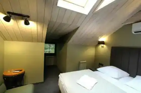 Wellion Baumansky - 7