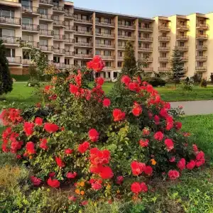 Olimp park-hotel - 15