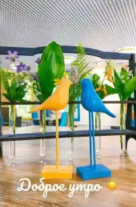 Vesna Tourist base - 8