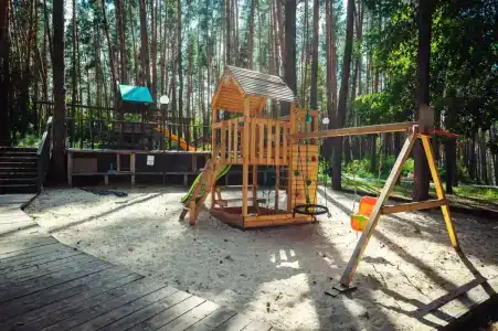 Донской лес - 19