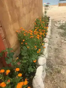 Zolotye peski Tourist base - 29