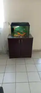 Sanatorium-profilaktoriy Zhemchuzhina - 48