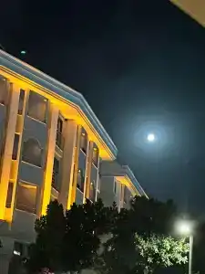 Calimera Hane Garden - 29