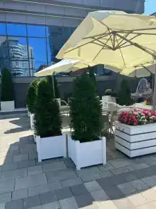 GOLD inn GARDEN - 17