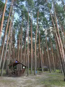 Park semeynogo otdyha Andreevskiy - 73