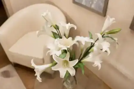 Gostinitsa Aviastar - 19