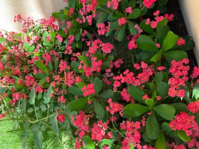 Novotel Bahrain Al Dana Resort - 75