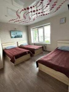 Vishera - lite - 70