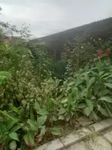 Rial Guest House - 43