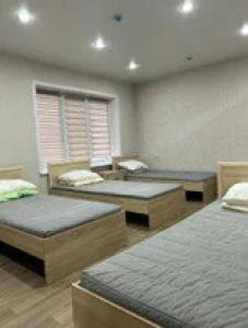 Vishera - lite - 44