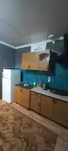 Snezhnyy Bars - 119