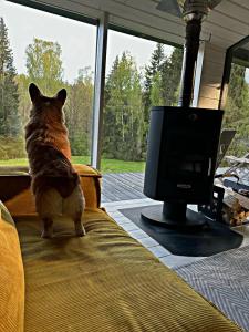 Domingo Dacha Selakh Guest house - 84